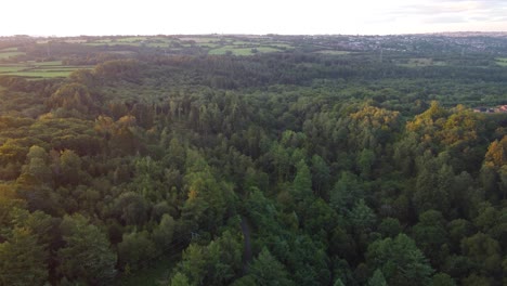 Luftaufnahme-Eines-Tiefen-Waldtals-Mit-Sonnenaufgang-Im-Vereinigten-Königreich