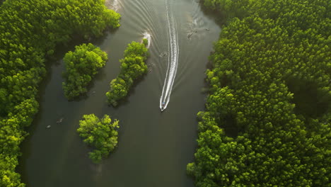 Top-view-of-tourist-boat-cruising-along-river-with-mangroves,-Thailand