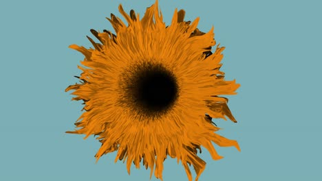Blumenhintergrundgrafik,-Animierte-Zeitlupe,-Kann-Als-Hintergrund-Für-Soziale-Medien-Verwendet-Werden