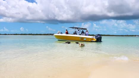 Este-Es-Un-Vídeo-De-Un-Barco-Turístico-En-Pig-Island-En-Las-Bahamas.