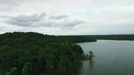 Green-Foliage-Of-Dense-Forest-On-Calm-Lake-In-Long-Hunter-State-Park,-Tennessee,-United-States