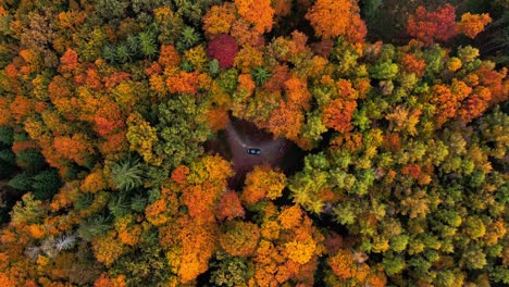 Atemberaubendes-4K-Drohnenvideo-Aus-Der-Luft-Von-Der-Herbstschönheit-Sloweniens-Und-Einer-Straße-Inmitten-Eines-üppigen-Waldes
