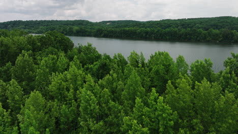 Dense-Forest-With-Green-Trees-Along-The-Tennessee-River-Near-The-Mousetail-Landing-State-Park-In-Linden,-Tennessee,-USA