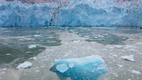 Close-up-of-floating-melting-icebergs-and-tilt-up-towards-the-Dawes-Glacier,-Endicott-Arm-Fjord,-Alaska