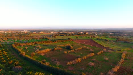 Drohnen-Luftaufnahme-Von-Gepflügtem-Ackerland-Mit-Obstbaum-Bei-Sonnenuntergang