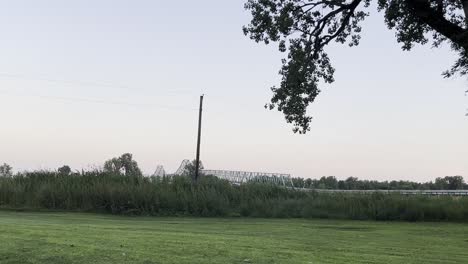 wide-shot-of-a-meadow-with-a-tree-branch-in-the-foreground-and-a-bridge-in-the-background