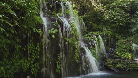 Ein-Paradies-Namens-Bali:-Atemberaubender-Wasserfall-Wana-Amertha,-Umgeben-Von-Grünen-Pflanzen-Auf-Bali,-Indonesien