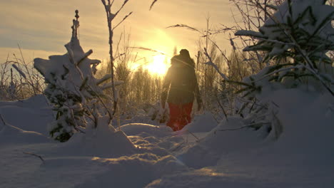 Close-up-shot-of-a-woman-in-black-winter-coat,-walking-through-thick-layer-of-white-snow-surrounded-by-trees-with-sun-setting-in-the-background-on-a-cold-winter-evening