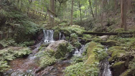 Cascada-De-Agua-Mineral-Pura-En-El-Tranquilo-Paisaje-Forestal-Japonés-Parque-Wakasa-Uriwari-Meisui