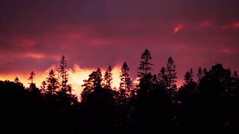 Filmischer-Blick-Auf-Den-Roten-Himmel-Mit-Vorbeiziehenden-Dunklen-Wolken-über-Baumwaldsilhouetten