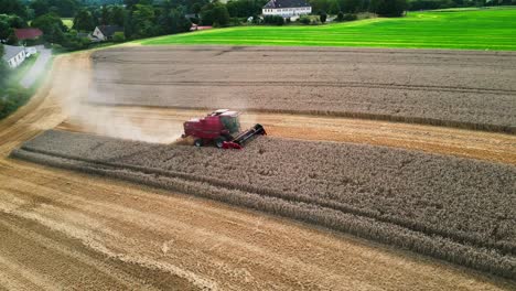 Efficient-modern-farming:-Drone-captures-a-combine-harvester-harvesting,-threshing,-sorting-golden-grains-in-a-wheat-field