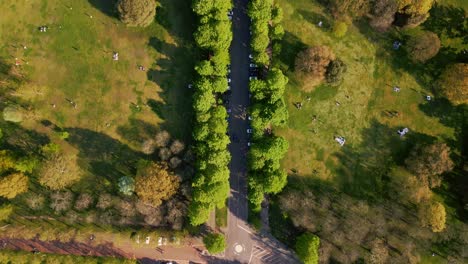 London,-Greenwich-Park---top-down-drone-shot---flying-forward-along-the-street