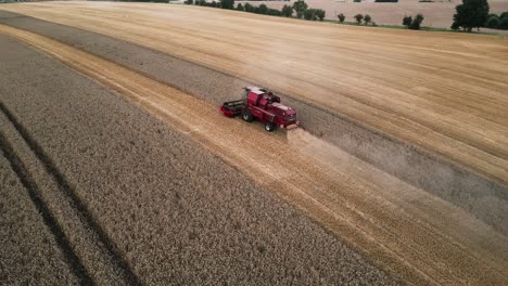 Efficient-modern-farming:-Drone-captures-a-combine-harvester-harvesting,-threshing,-sorting-golden-grains-in-a-wheat-field