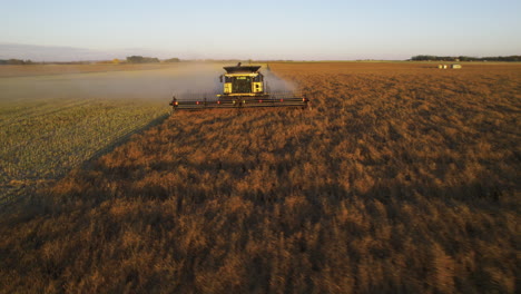 Approaching-combine-harvester-harvests-dried-canola-field-in-Alberta,-low-aerial