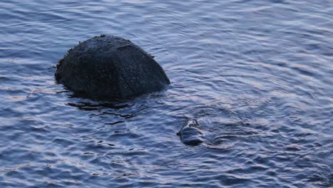 Plätscherndes-Wasser-Mit-Felsvorsprüngen-Auf-Einem-Ruhigen-Meer
