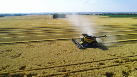 Drone-tracking-shot-next-to-combine-harvester-harvesting-dried-canola-field