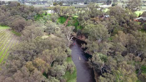 Coloridos-Corredores-De-Kayak-Remando-Por-El-Valle-De-Swan,-Perth---Carrera-De-Botes-Avon-Descent