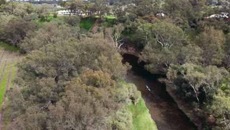 Single-Kayaker-Paddling-Downstream-Past-Winery,-Swan-Valley-Perth---Avon-Descent-Boat-Race