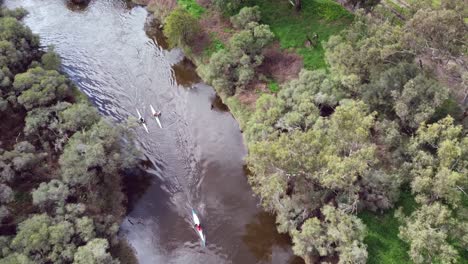 Birds-Eye-View-Over-Three-Kayak-Racers-Following-Them-Down-River,-Avon-Descent-Boat-Race