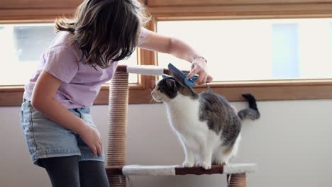 Cute-girl-brushing-cat-on-scratching-post