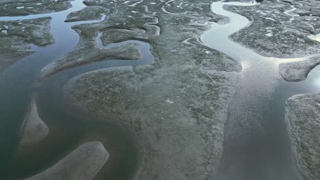 Aerial-view-of-river-estuaries-amidst-green-woods-in-wetlands