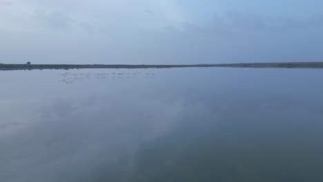 Lago-Tranquilo-Con-Pájaros-En-Un-Día-Nublado