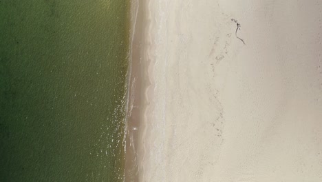 Empty-sandy-beach-with-wavy-green-water