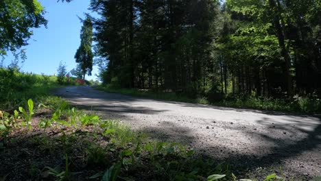 White-Racing-Car-Turning-in-Forest-at-Full-Speed,-4k-GoPro-Footage