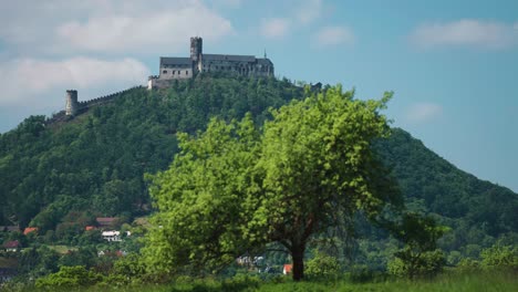Bezdez-Castle-in-Czechia-towers-on-the-hill-above-the-green-summer-valley