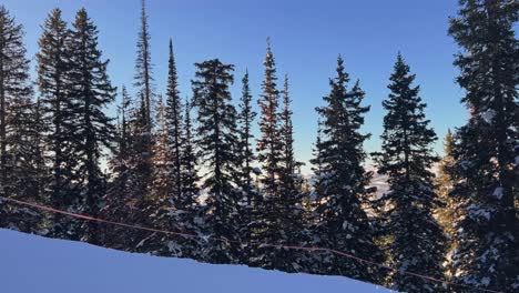 Right-trucking-handheld-shot-of-beautiful-large-skinny-snow-covered-pine-trees-on-a-ski-resort-in-the-Rocky-Mountains-during-golden-hour-on-a-warm-spring-evening-in-Utah