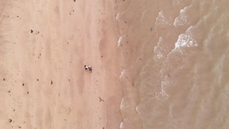 Drone-view-of-unrecognizable-persons-in-sandy-beach-near-ocean