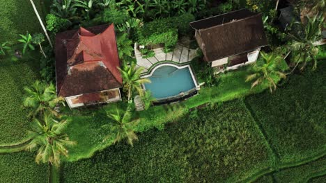 Aerial-top-down-shot-of-villa-with-private-pool-in-scenic-landscape-of-Bali-with-agricultural-fields-in-summer---rising-up-shot