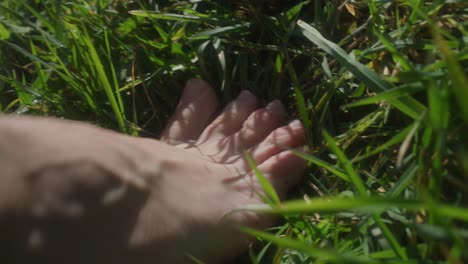 Füße-Und-Zehen-Im-Gras,-Die-Sich-In-Der-Sonne-Bewegen