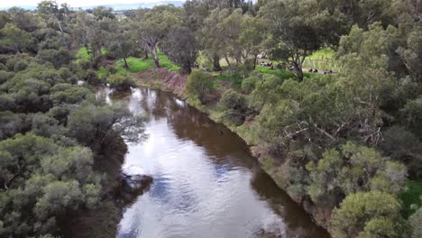 Calm-River-Scene-Near-Vineyards,-Aerial-Descending-View-Over-Swan-Valley-Perth