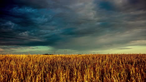 Düstere-Wolkenlandschaft-über-Weizenfeldern-Bei-Sonnenuntergang.-Zeitraffer