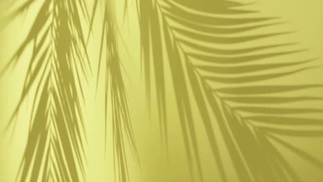 Tropical-palm-tree-shadow-animation-Vertical
