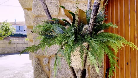 Cedar-leaf-fern-branches-ornate-plant-arrangement-in-tripod-of-sticks
