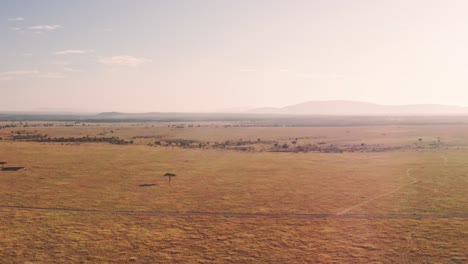 Aerial-drone-shot-of-Maasai-Mara-Africa-Landscape-Scenery-of-Savanna-Plains-and-Grassland,-Acacia-Trees-High-Up-View-Above-Masai-Mara-National-Reserve-in-Kenya,-Wide-Establishing-Shot-Flying-Over