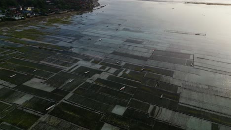 Tierras-De-Cultivo-Submarinas-Con-Musgo-Marino-En-La-Isla