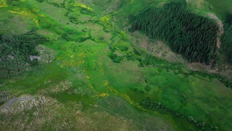 Vista-Aérea-Sobre-Verdes-Prados-Y-Colinas-Cerca-De-La-Montaña-Crested-Butte,-Colorado,-EE.UU.