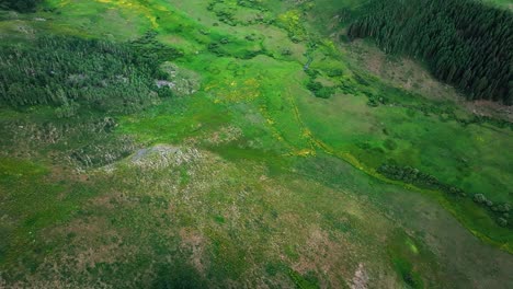 Overhead-view-over-green-meadows-and-hills-near-the-Crested-Butte-mountain,-Colorado,-USA