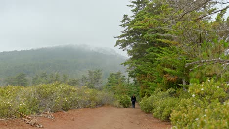 Foggy-trail-of-Tenerife-island-with-single-person-walking,-motion-view