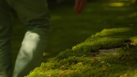 Slow-motion-shot-of-a-well-dressed-man-running-his-hand-along-a-mossy-wall