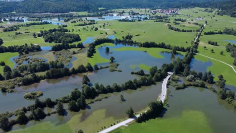 Slovenian-nature-conservation-landscape-with-flooded-areas-and-lush-green-grass