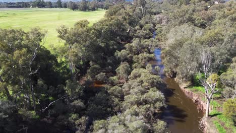 Thick-vegetation-surrounds-Swan-River,-near-Perth,-Western-Australia