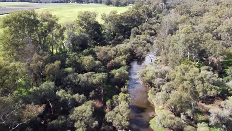 Upper-reaches-of-Swan-River-surrounded-by-thick-vegetation