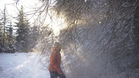Shot-of-a-man-knocks-snow-from-the-trees-while-walking-through-winter-forest-after-a-deep-snowdrift-with-sun-rising-in-the-background