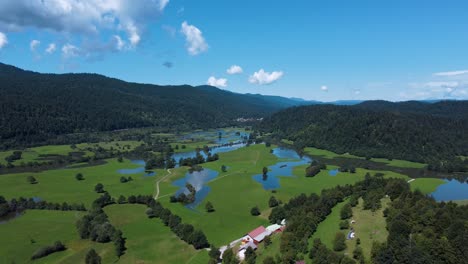 Flooded-wetland,-picturesque-European-green-landscape-on-a-summer-day,-drone