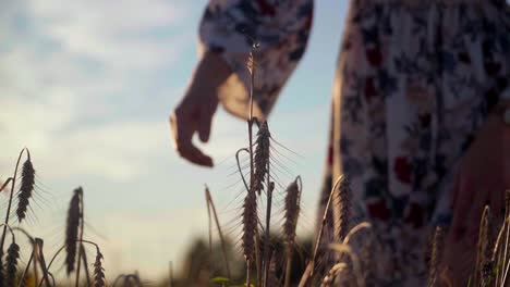 Stunning-HD-footage-of-a-young-white-Caucasian-woman-in-a-dress-walking-through-a-wheat-field