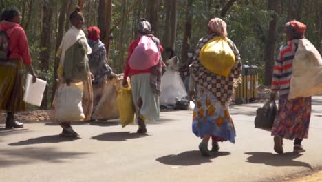 Mitarbeiter-Des-Entoto-Parks-Gehen-Neben-Der-Braut-Her,-Während-Sie-Sich-Darauf-Vorbereitet,-Ihr-Hochzeitskleid-Für-Eine-Fotosession-In-Addis-Abeba,-Äthiopien,-Zu-Tragen